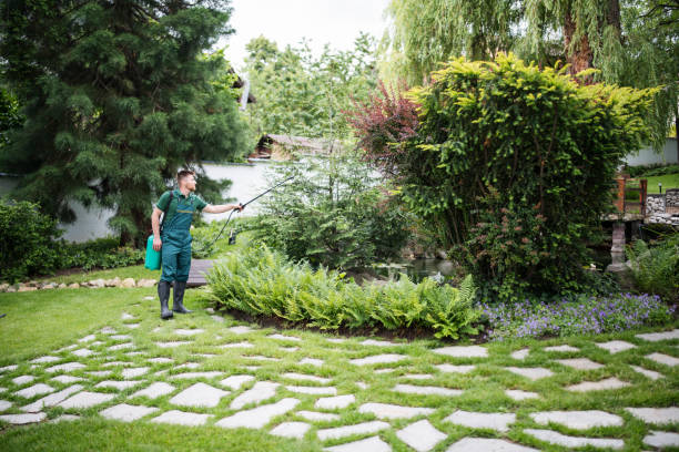 Best Residential Pest Control  in Temelec, CA