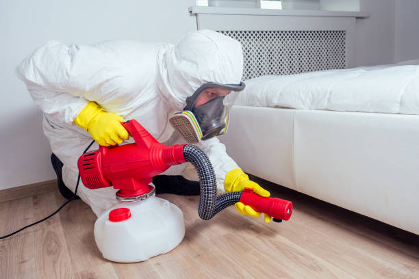 Best Pest Inspection Near Me  in Temelec, CA