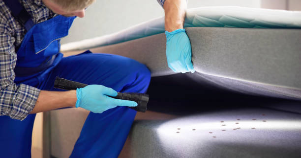 Best Pest Control Near Me in Temelec, CA